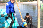 海浜清掃_葛西臨海公園東なぎさ